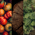 Jardin | Earthen, Herbaceous & Nostalgic Candle
