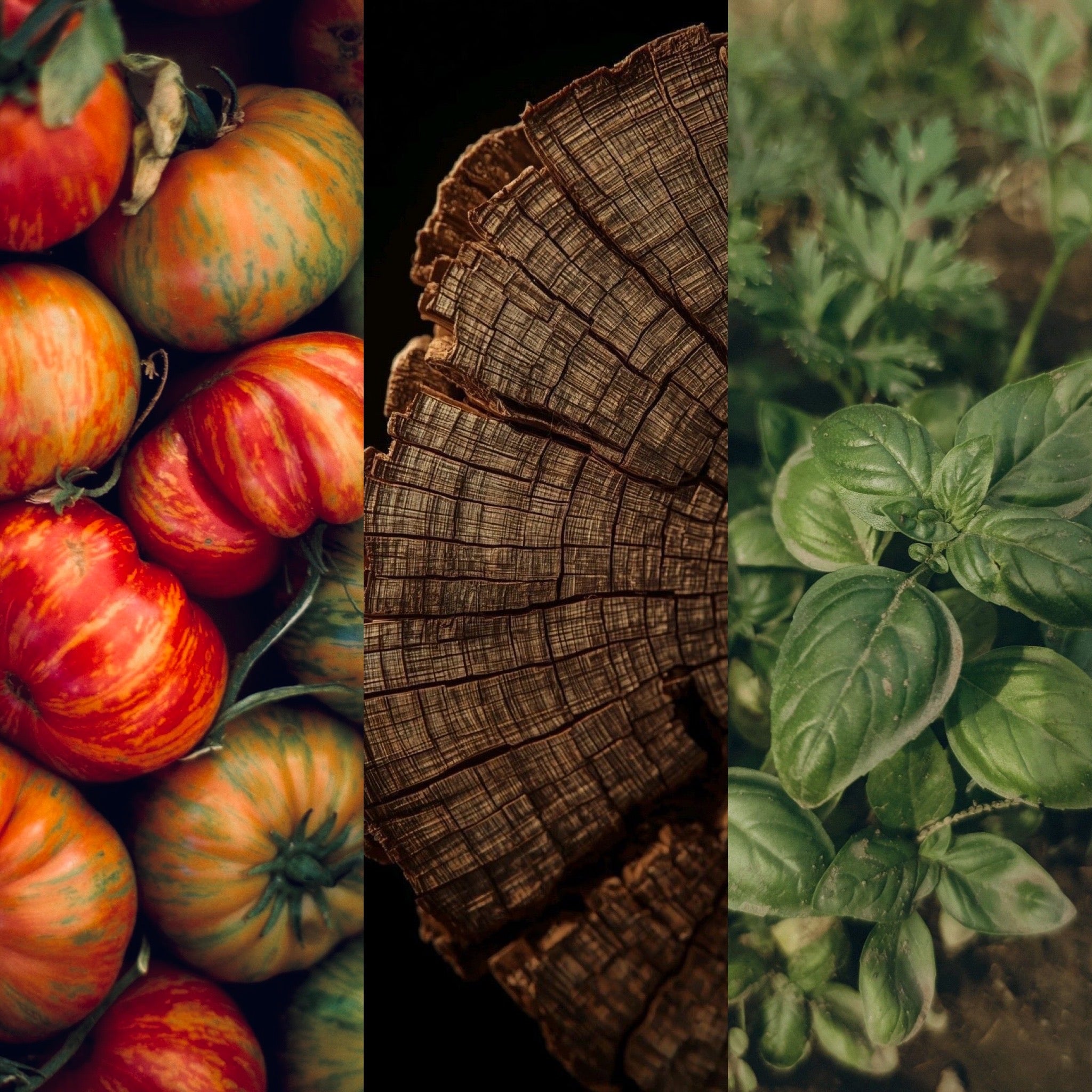 Jardin | Earthen, Herbaceous & Nostalgic Candle
