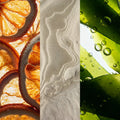 Seja Tides | Radiant, Aquatic & Tropical Candle