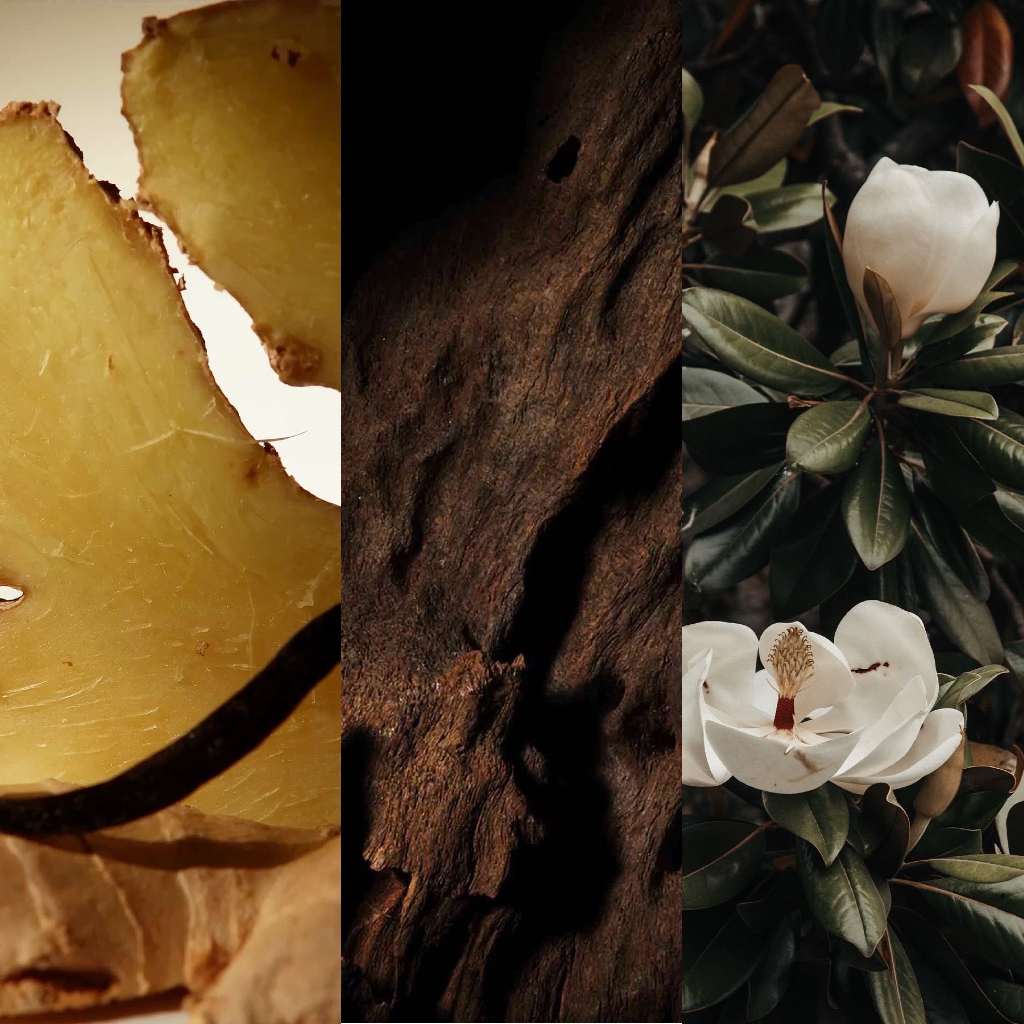 Jinjā | Textural, Warmth & Woods Candle