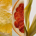 Neolūn | Vibrant, Reverence & Succulent Candle
