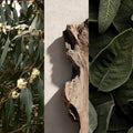 Onsen | 温泉 Invigorating, Calming & Revival Candle