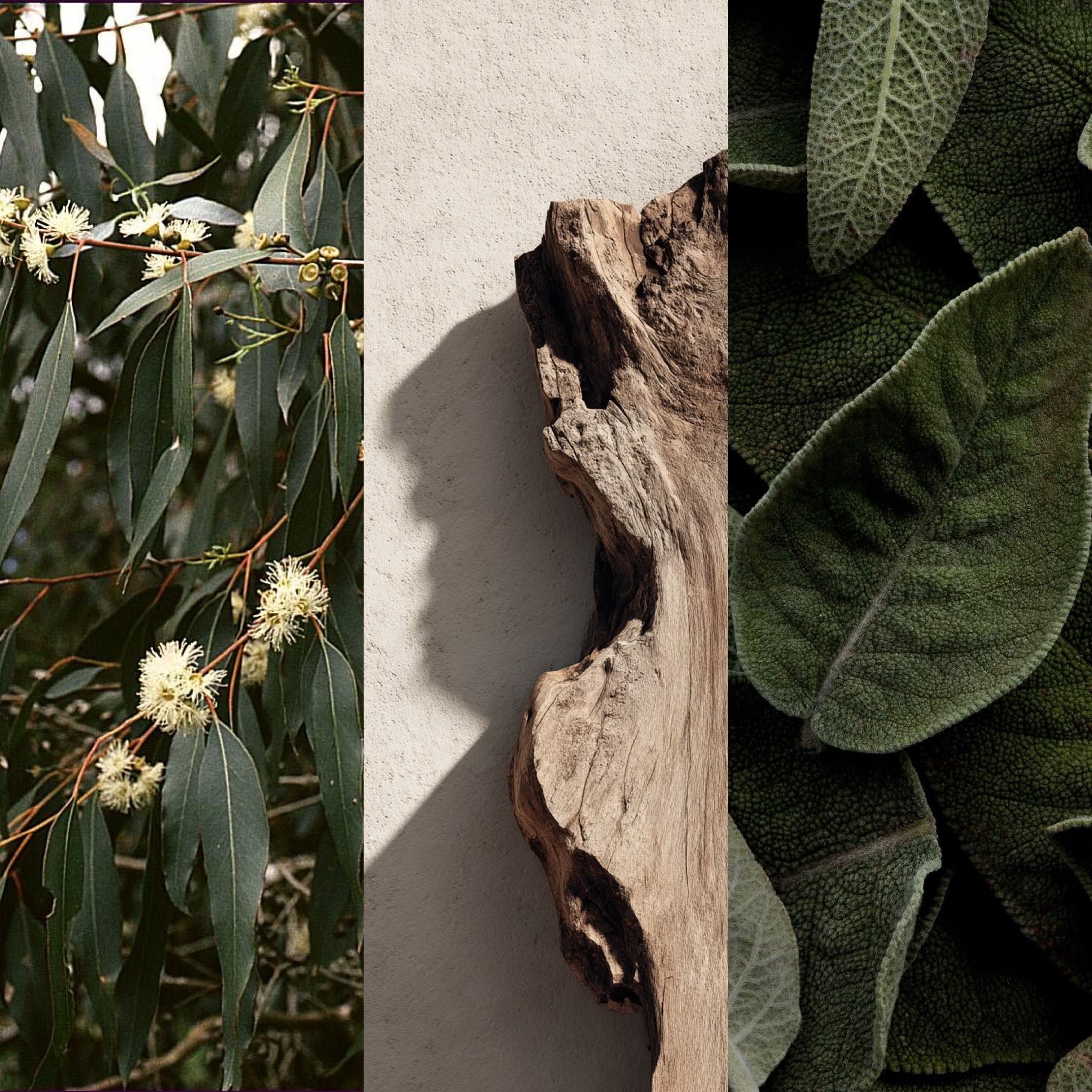 Onsen | 温泉 Invigorating, Calming & Revival Candle